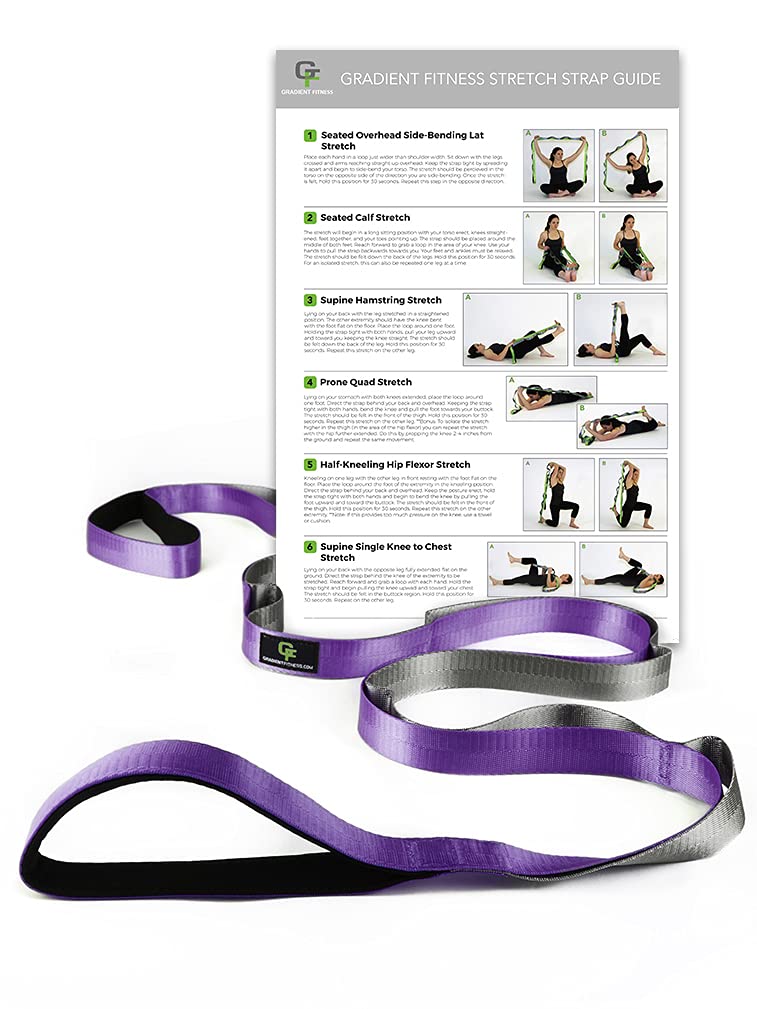 Gradient Fitness Stretching Strap for Physical Therapy, 12 Multi-Loop Stretch Strap 1" W x 8' L, Neoprene Handles, Physical Therapy Equipment, Yoga Straps for Stretching, Leg Stretcher (Purple) - Image 1